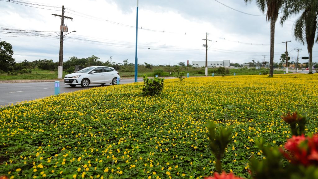 Projeto paisagistico da Prefeitura de Rio Branco leva beleza e cores para as ruas da capital 7 e1762891144750