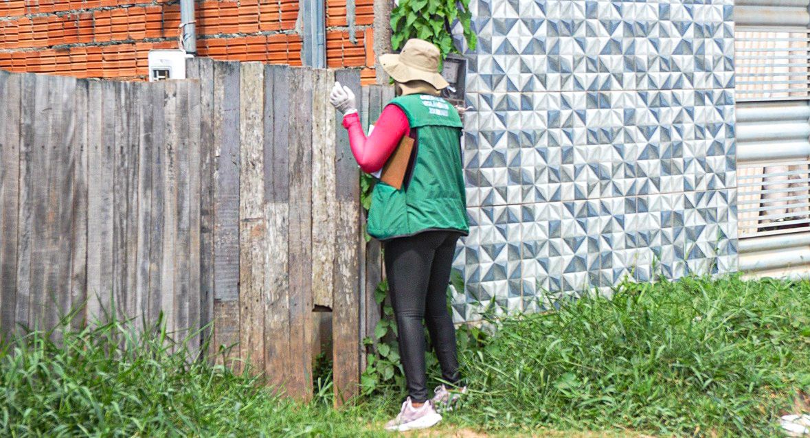 Vacinacao antirrabica e ultrapassa 80 de cobertura em caes e gatos 3