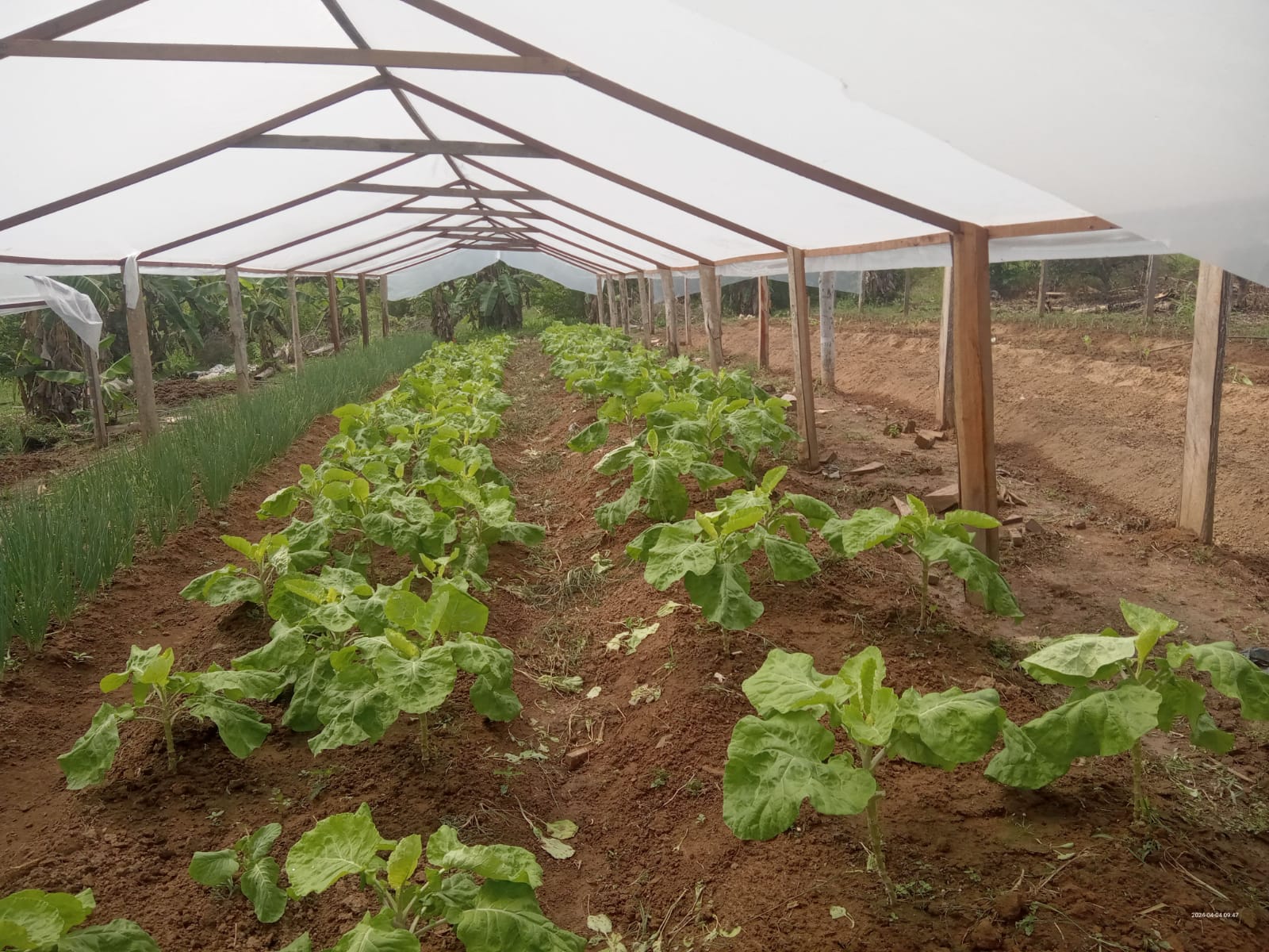 Agricultura familiar 16