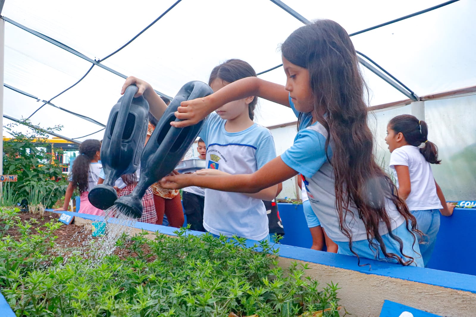 Foto das crianças na fazendinha