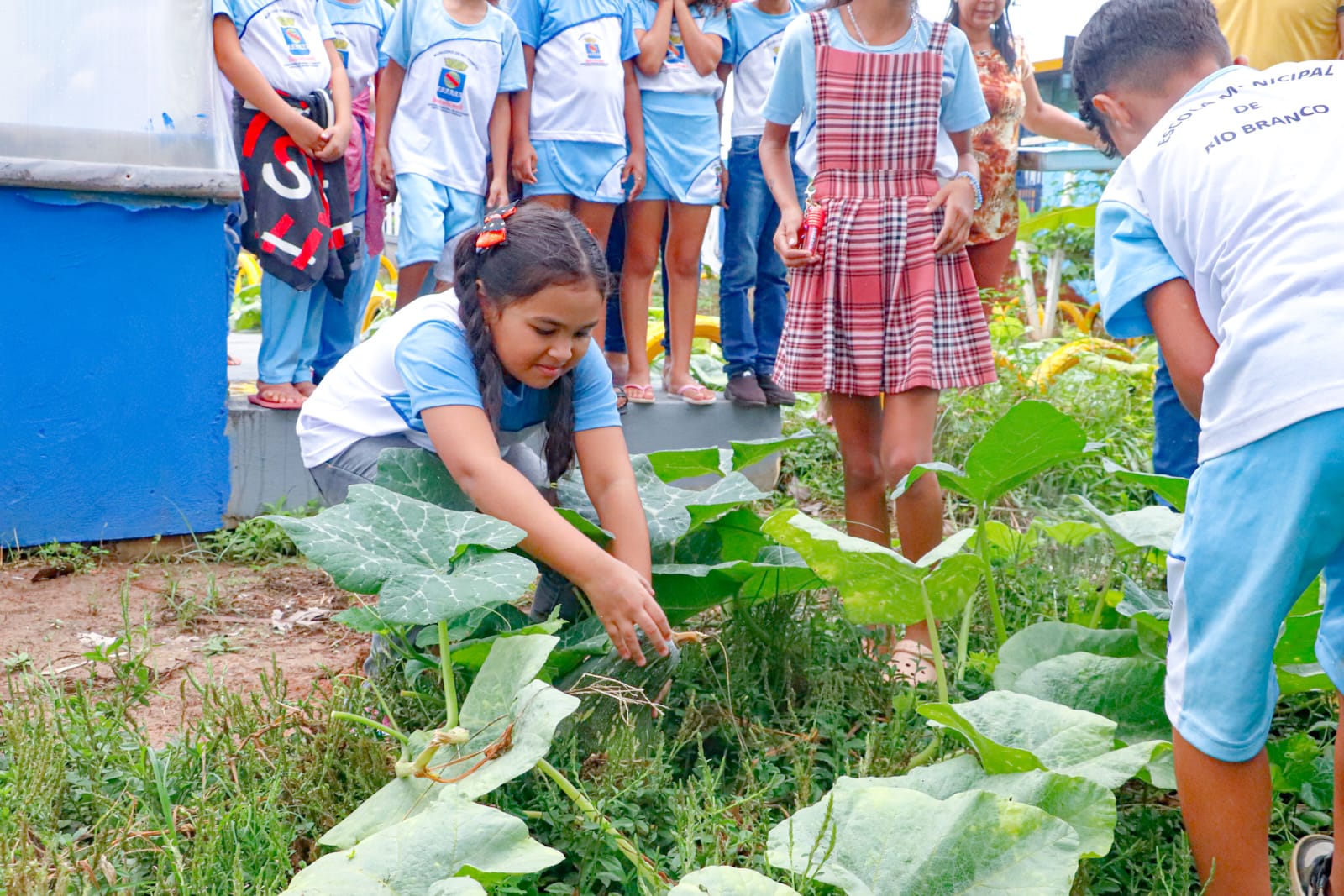 Foto de Horta na descola Mauricilia Santana