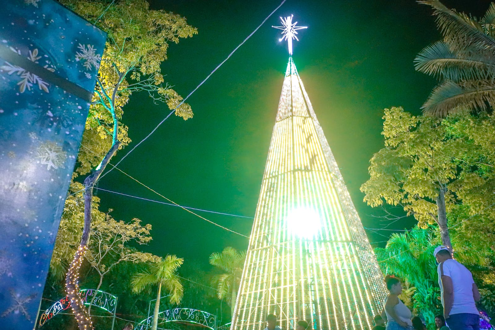 Luzes do Natal de Vida Esperanca e Dignidade 2025 3