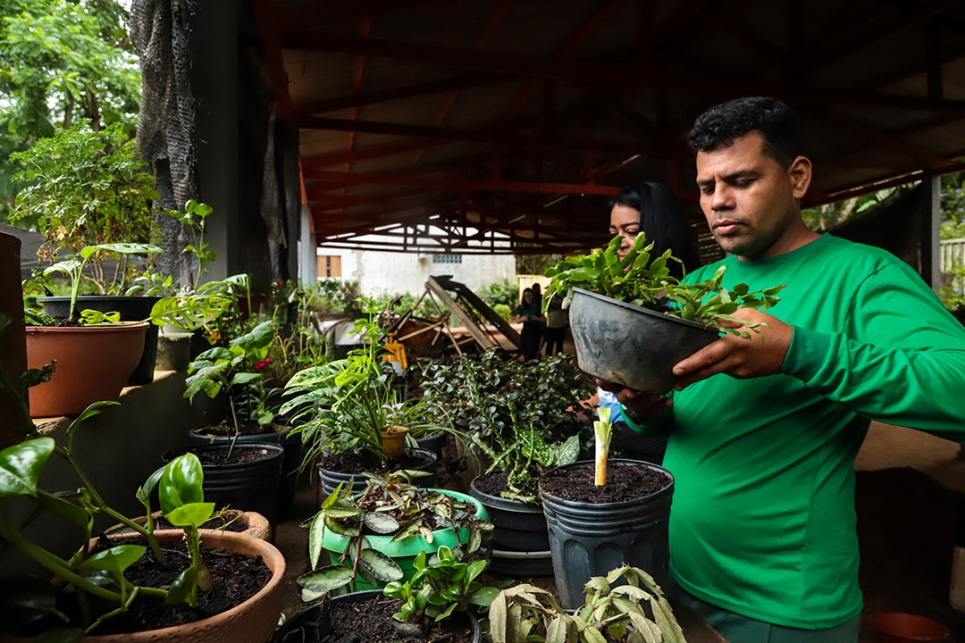 Foto dos servidores trabalhando com as mudas do viveiro 