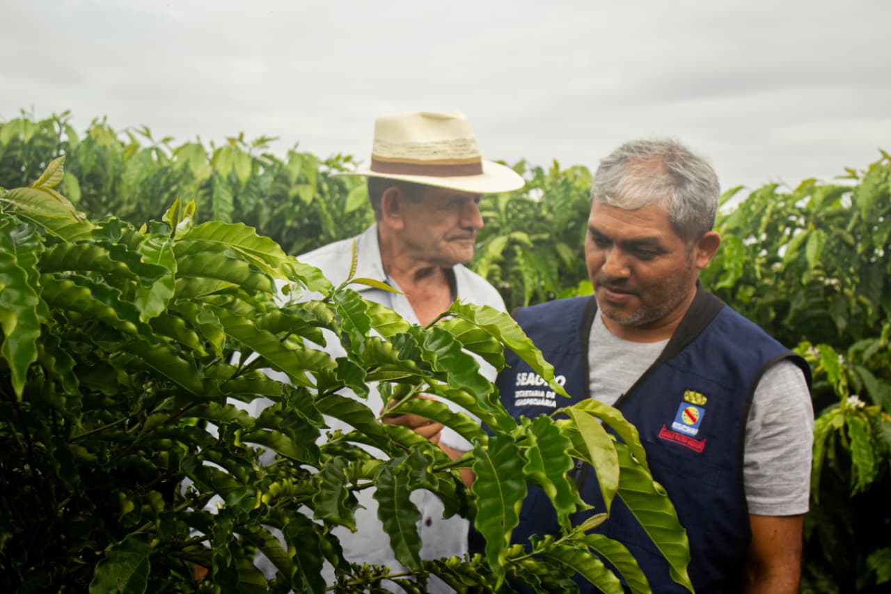 Producao rural e resultados do Programa de Mecanizacao Agricola em 2025 13