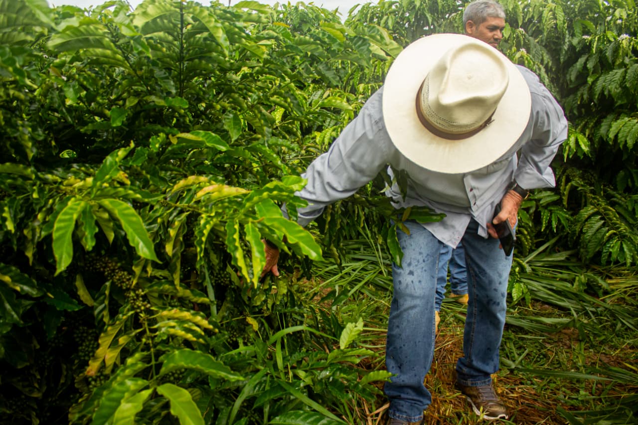 Producao rural e resultados do Programa de Mecanizacao Agricola em 2025 6