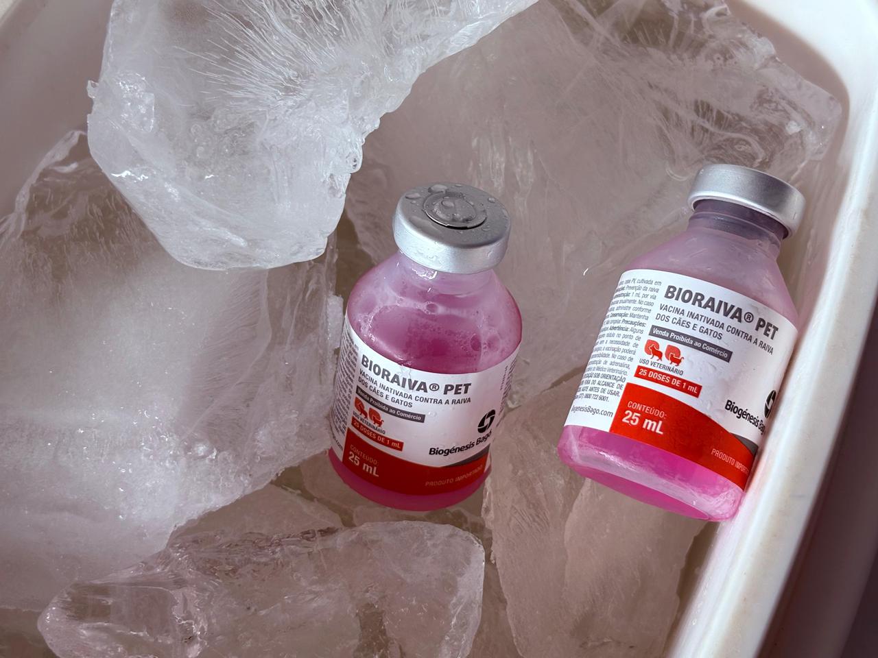 Foto da vacina Bioraiva