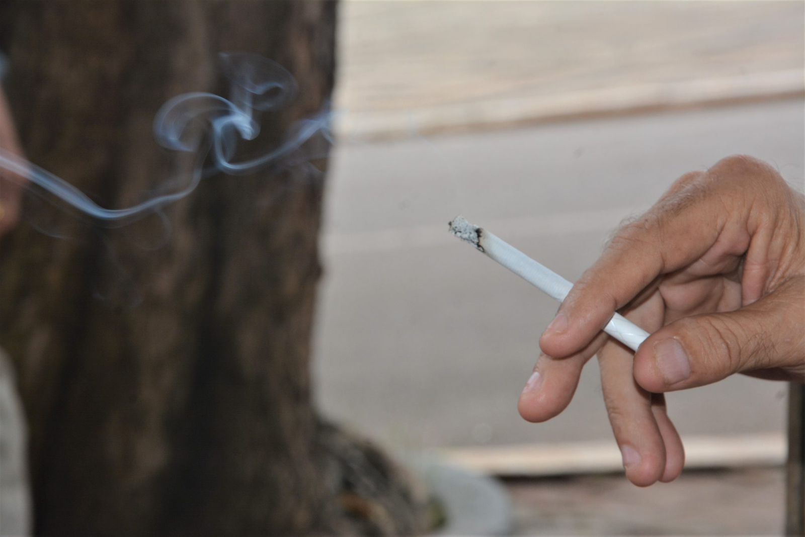 13383370 4ab3 4507 90e3 7544aed15d8d