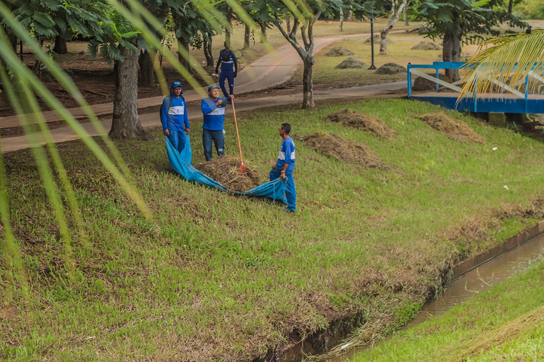 Limpeza dos parques urbanos 11