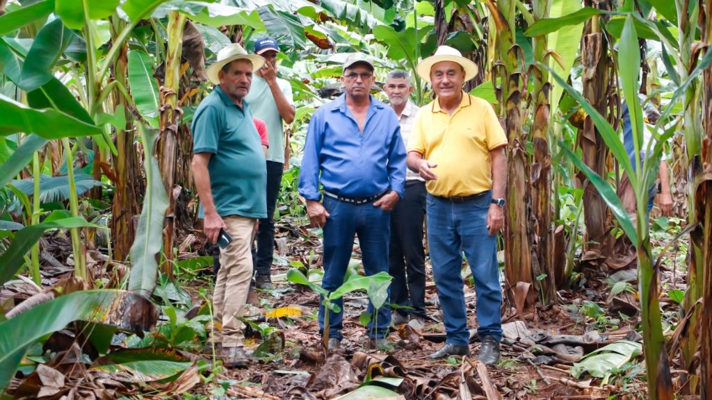 Visita ao Ramal da Baixa Verde 14 e1769663587872