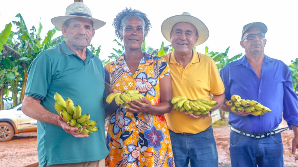 Visita ao Ramal da Baixa Verde 29 e1769786078152