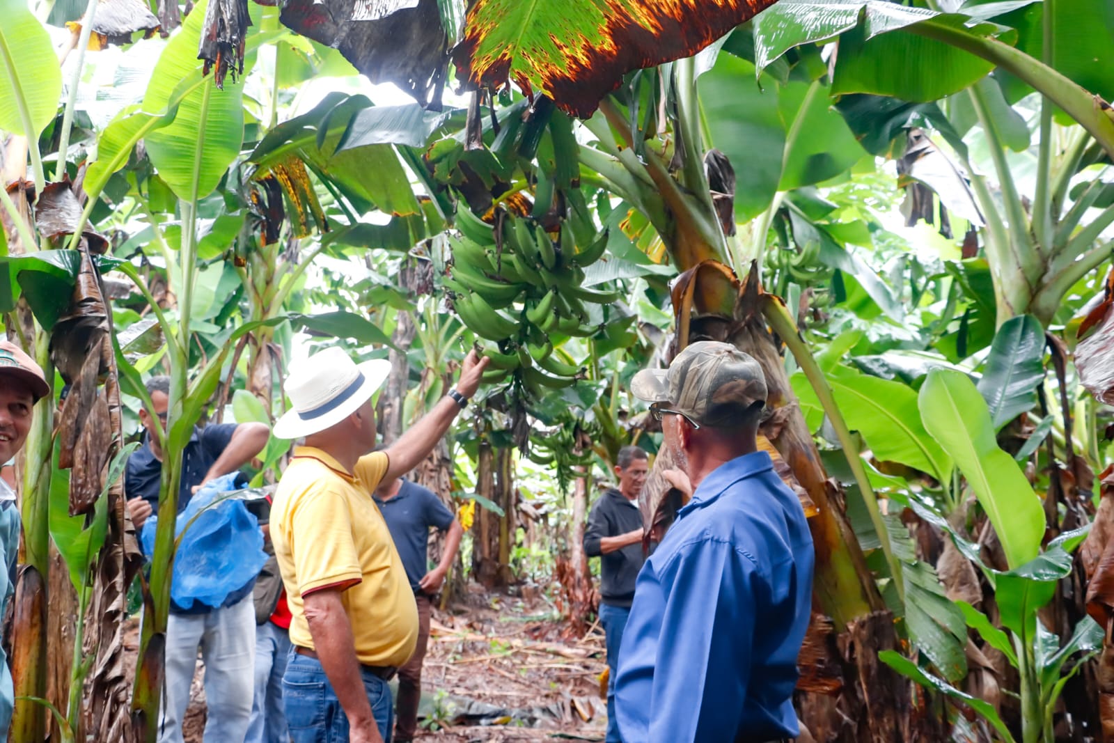 Foto do Prefeito Tião Bocalom vendo a produção do Ramal Baixa Verde
