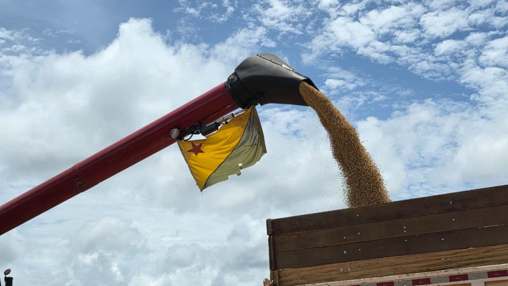Prefeito de Rio Branco e presidente da Amac visita plantio de soja em Brasileia 1 Visita plantio de soja em Brasileia 2 e1769894318900