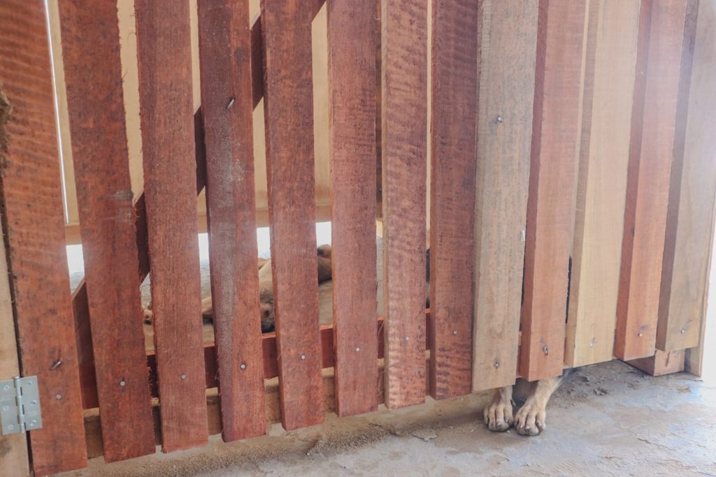 WhatsApp Image 2026 01 17 at 12.39.46 3