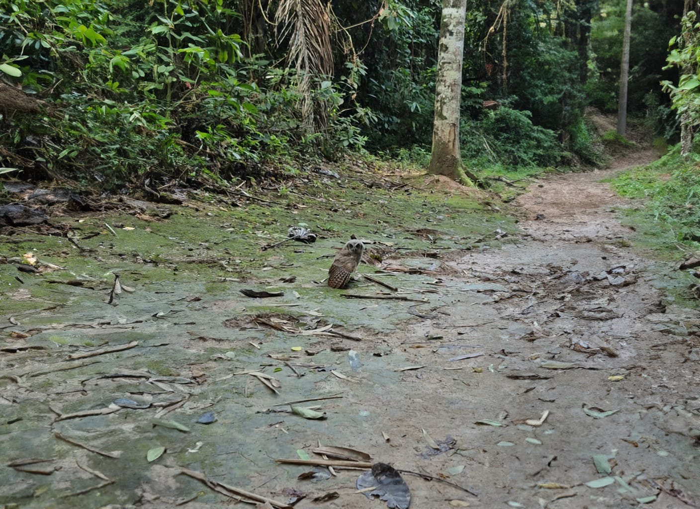 Foto: Reprodução/Prefeitura de Rio Branco - AC