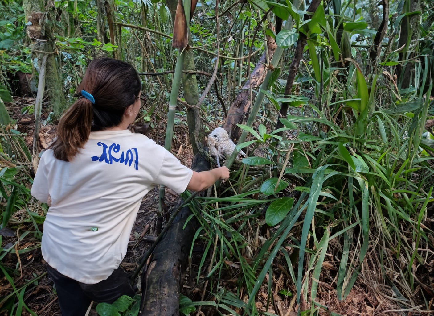 O Horto Florestal de Rio Branco segue sendo um espaço seguro, de proteção ambiental e convivência harmoniosa. (Foto: Secom)