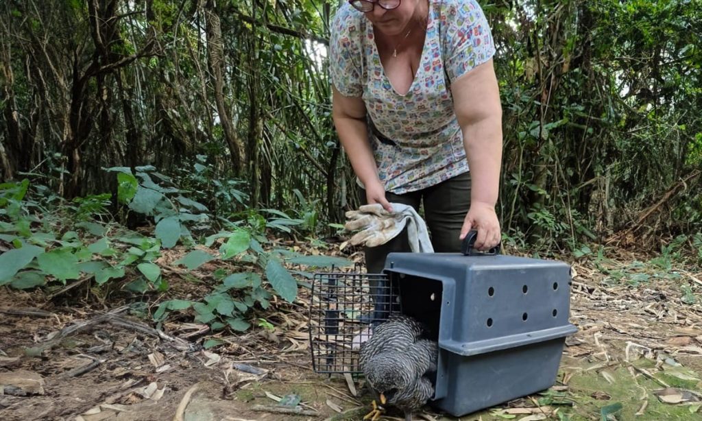 WhatsApp Image 2026 01 23 at 19.54.07 e1769436113155