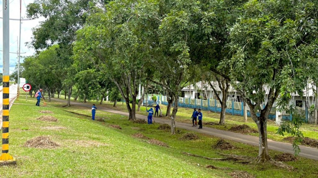 Prefeitura de Rio Branco mantém manutenção contínua em parques e reforça cuidado com espaços públicos 1 43c4bdbe ec7b 49df 863c eb717126971a e1771531831543