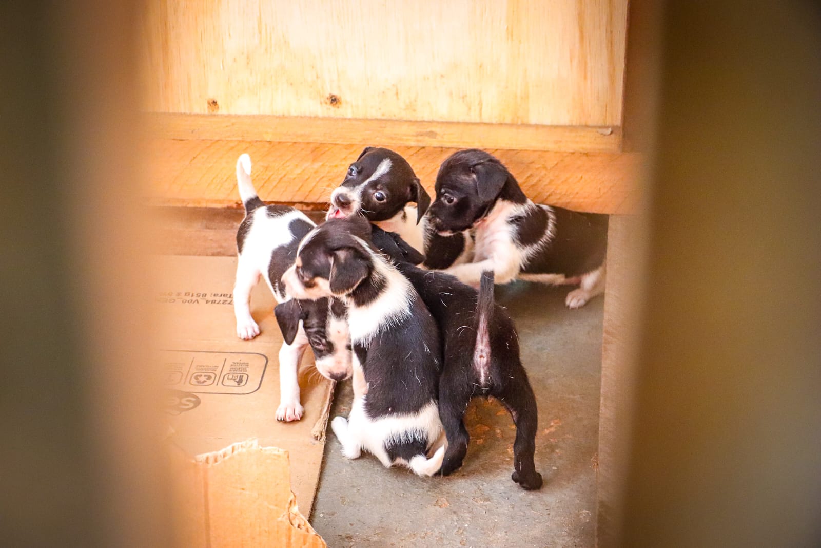 Acolhimento humanizado as vitimas da cheia 13