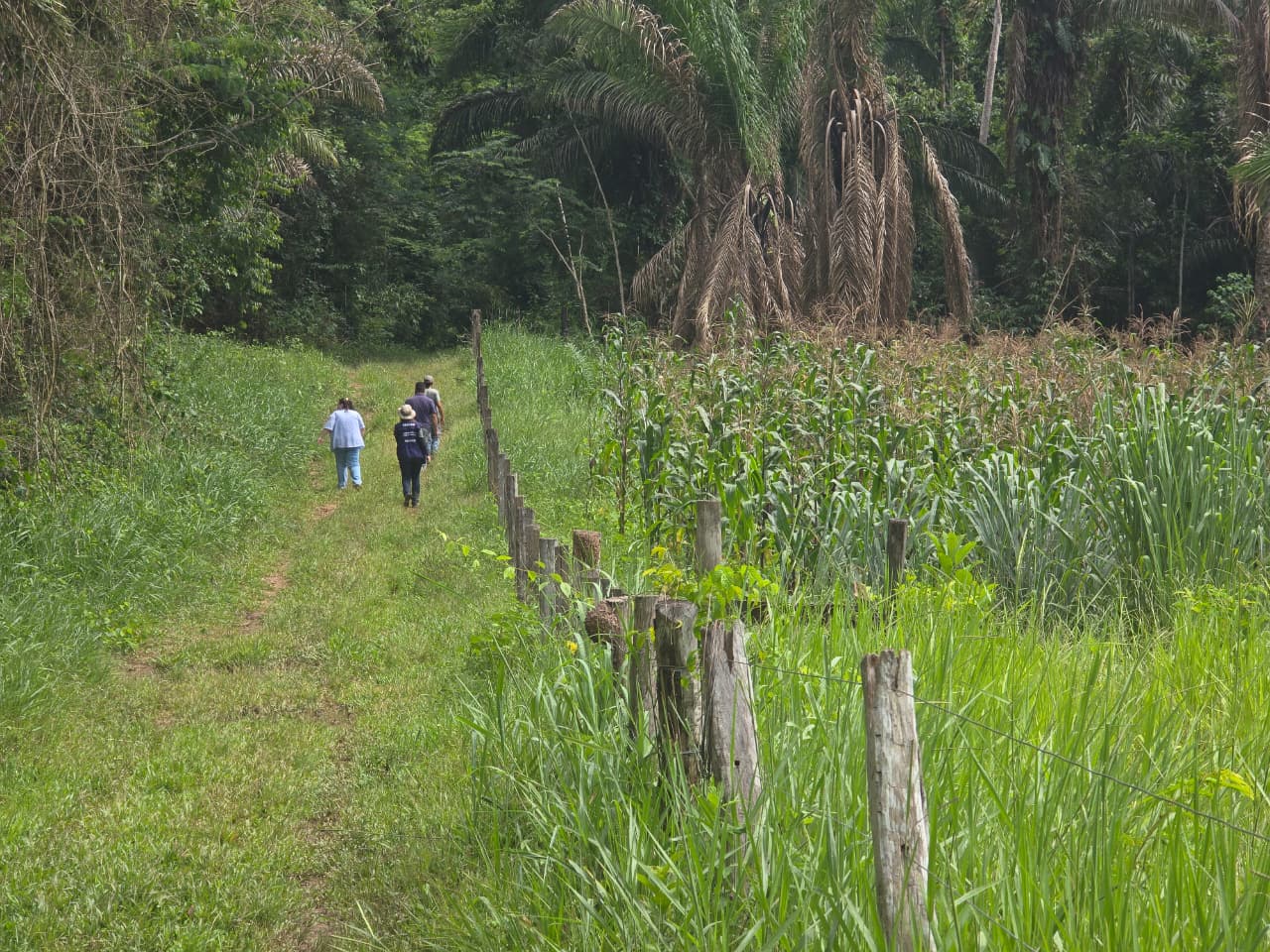 Foto: Reprodução/Prefeitura de Rio Branco - AC