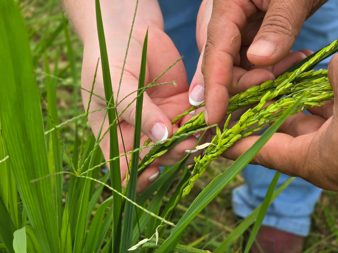 Foto: Reprodução/Prefeitura de Rio Branco - AC