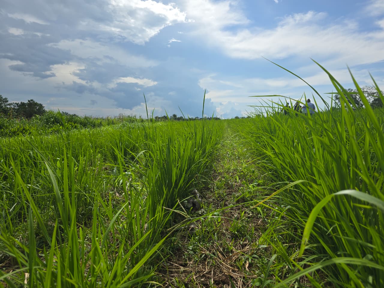 Foto: Reprodução/Prefeitura de Rio Branco - AC