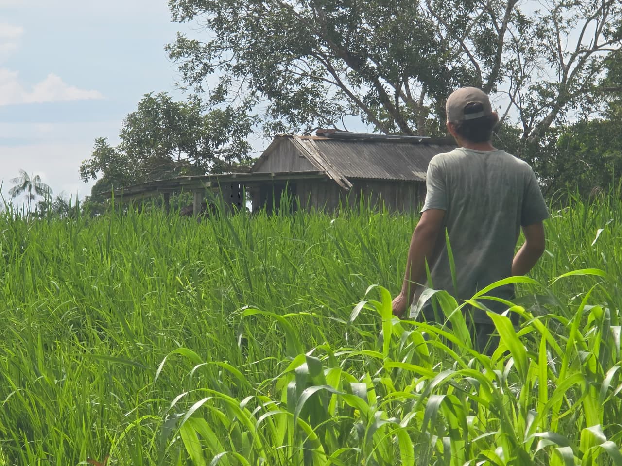 Foto: Reprodução/Prefeitura de Rio Branco - AC