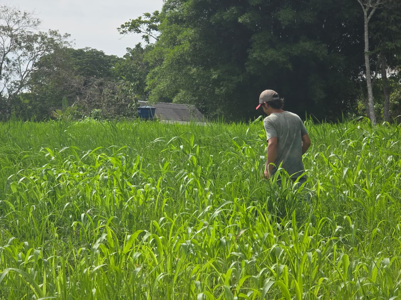 Foto: Reprodução/Prefeitura de Rio Branco - AC