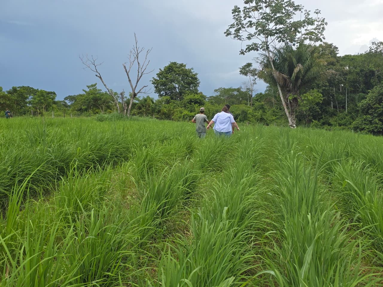 Foto: Reprodução/Prefeitura de Rio Branco - AC