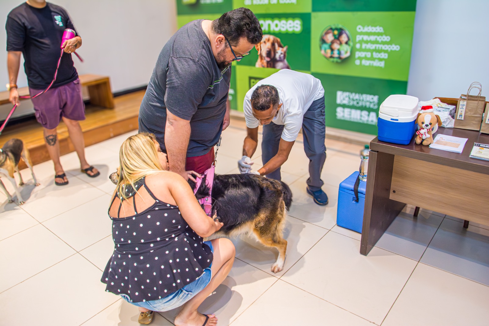 Foto de vacinação de pets