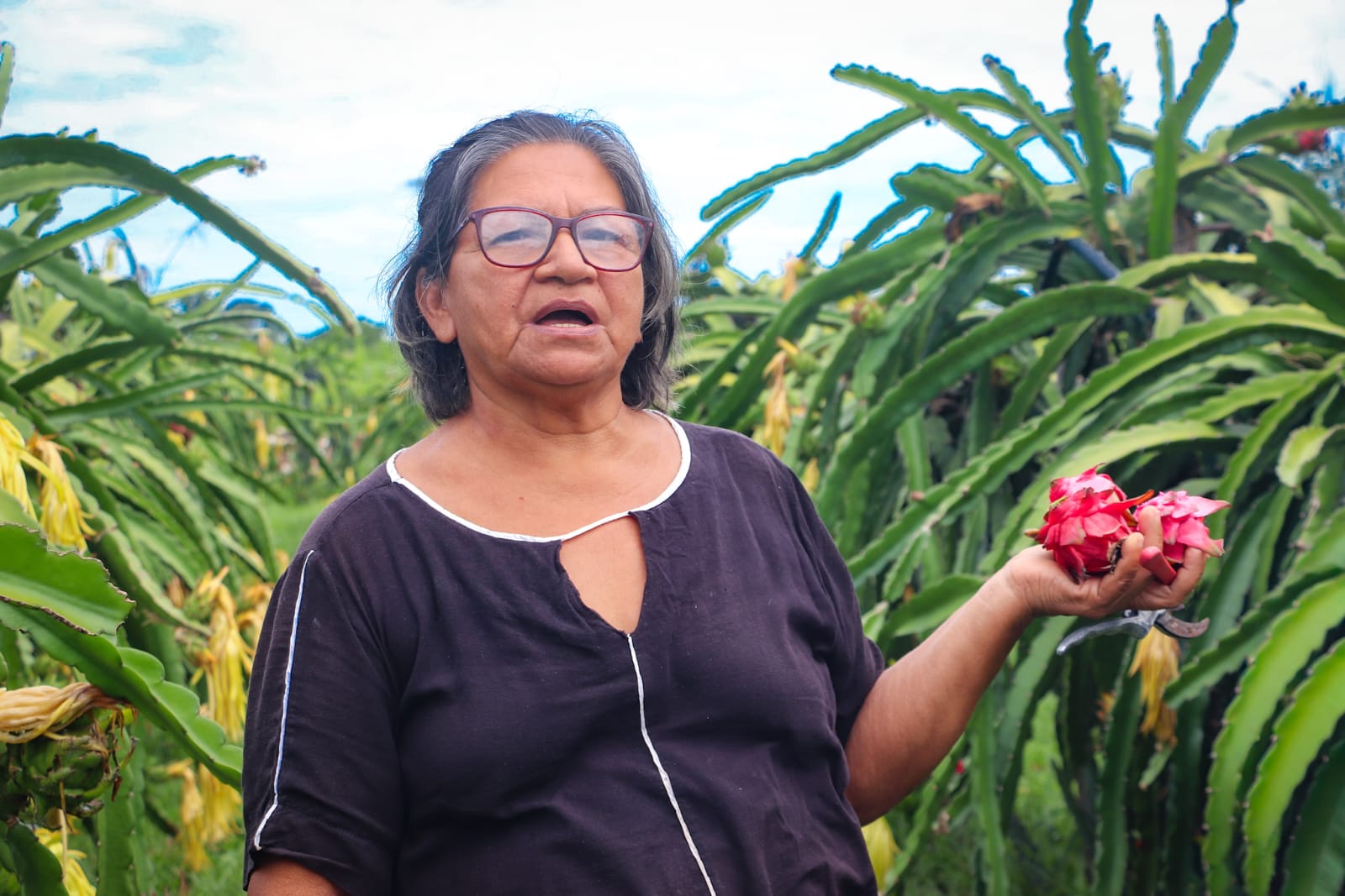 Apoio a agricultura familiar 20