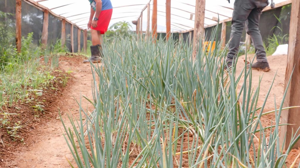 Apoio a agricultura familiar 3 e1770236172760