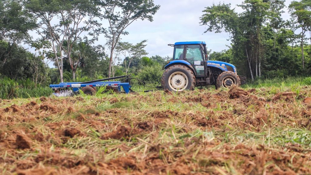 Palntio de Arroz Embrapa Fotos Marcos Araujo 13 e1771879729351