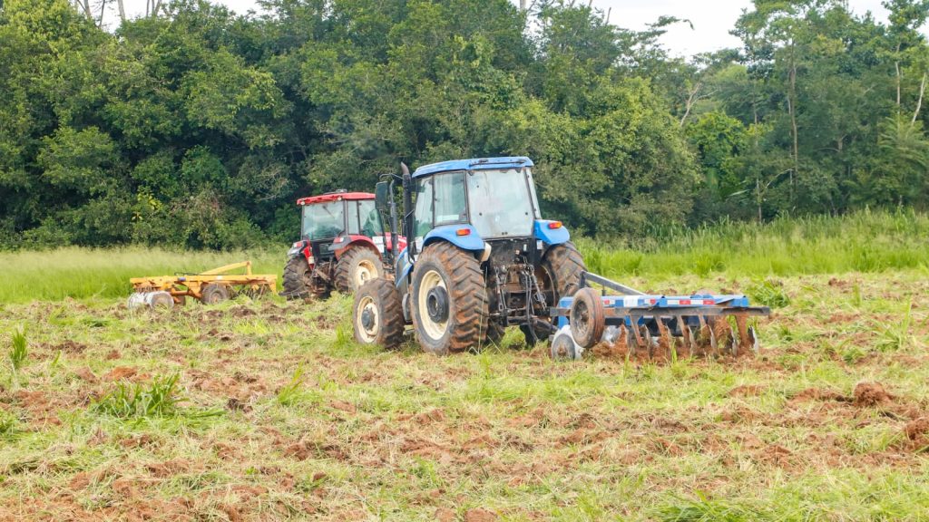 Notícias 6 Palntio de Arroz Embrapa Fotos Marcos Araujo 17 e1771945054593