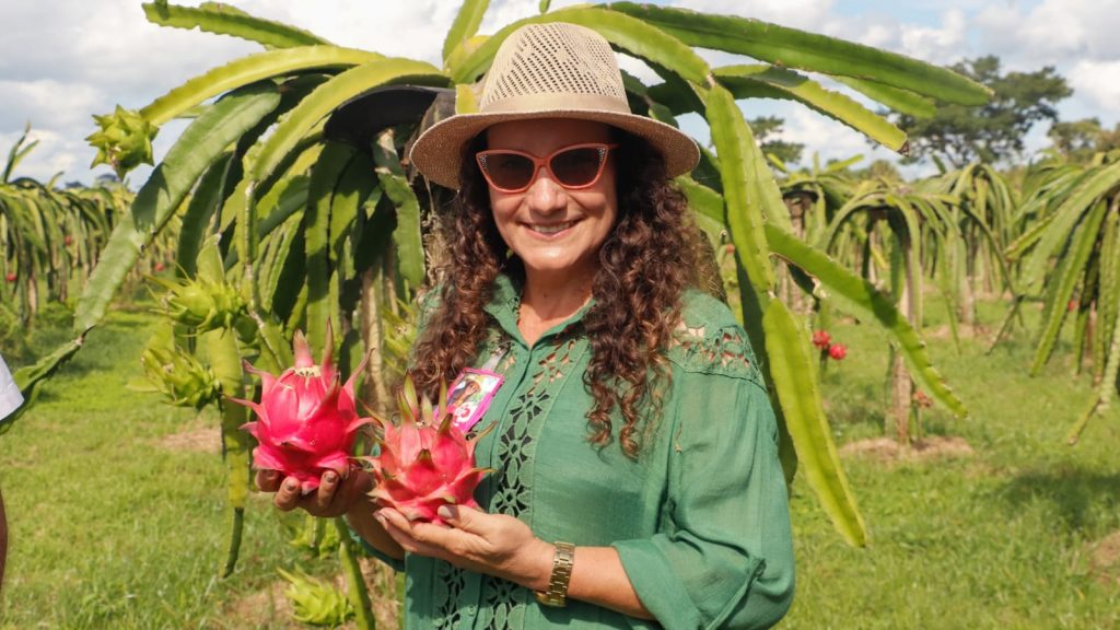 Plantio de Pitaya 10 e1771948126149