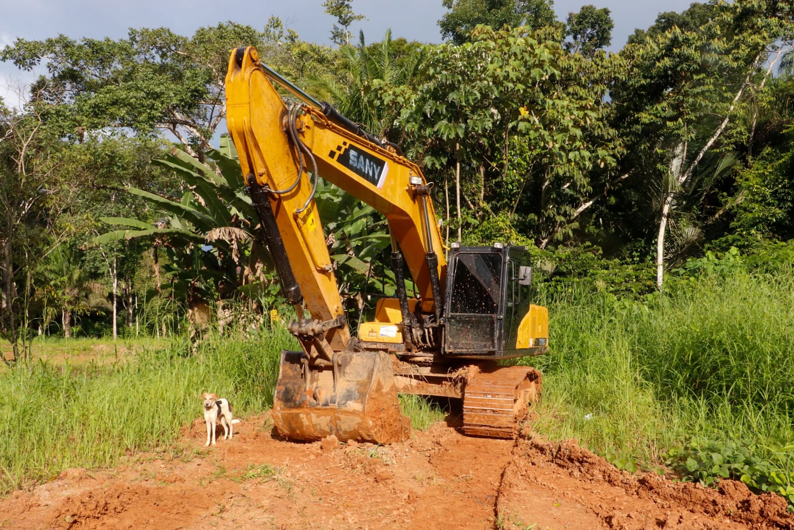 Recuperacao de ramais 6