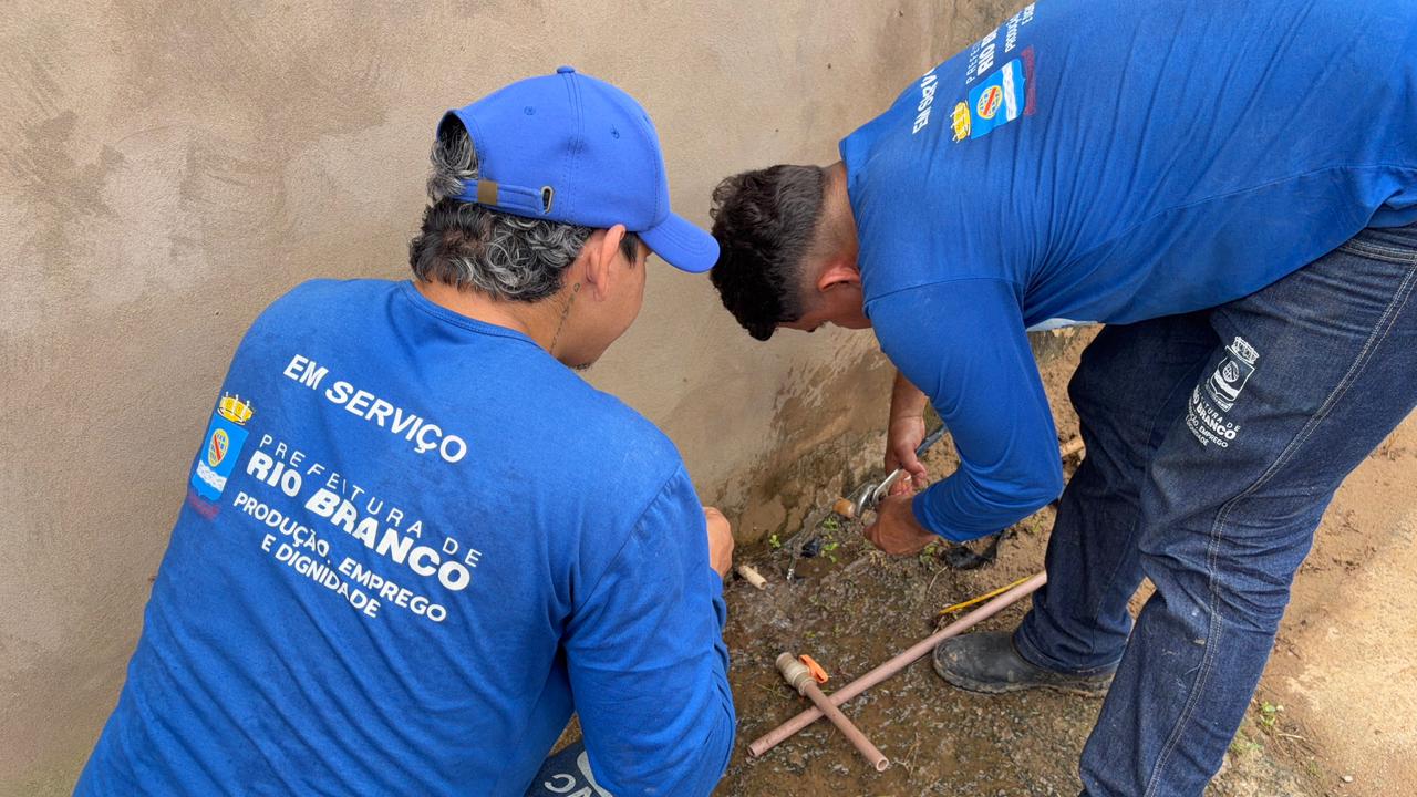 d552e69f 9765 42c9 80f5 bb61daa0d8de