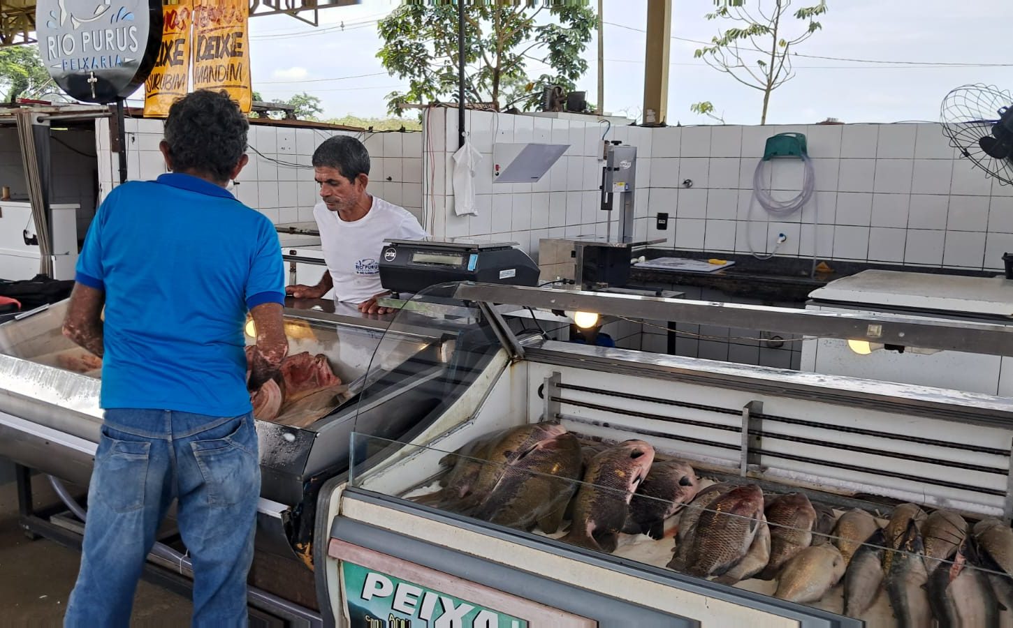 15a Feira do Peixe 19 e1774470984807