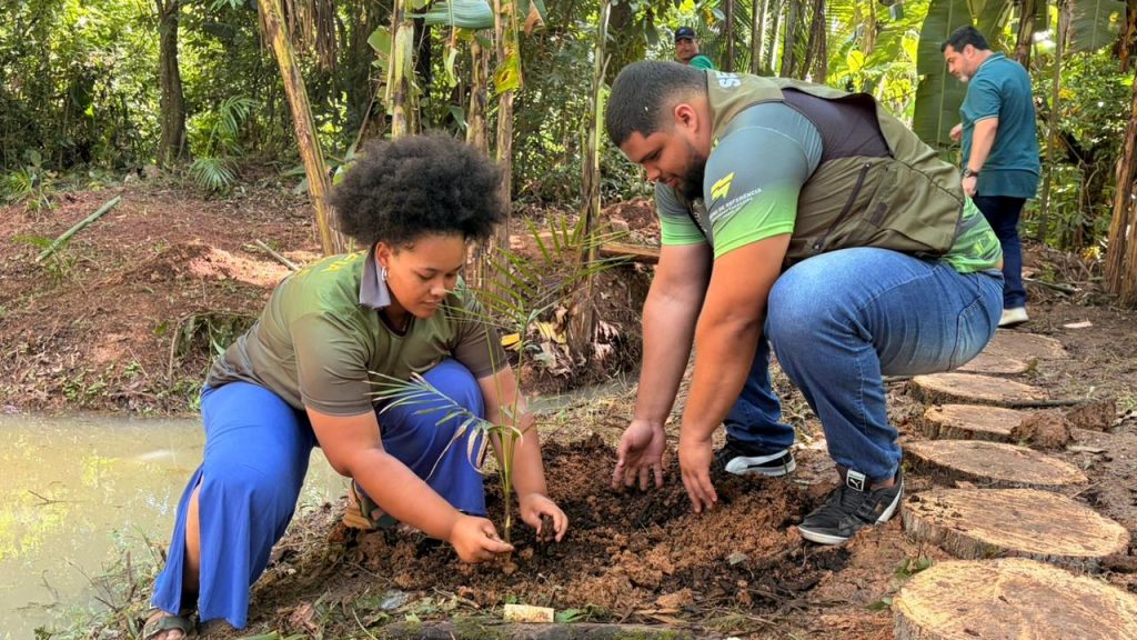 771e2ece e734 43d4 925f 182312039b3c e1774036877580