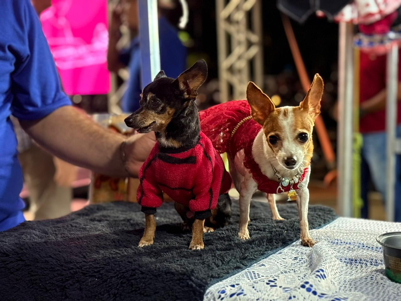 Equipamentos Economia Solidaria 12