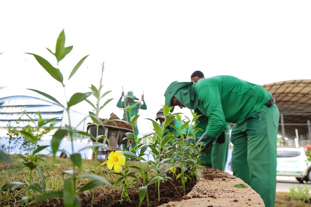 Reta final Elevado Val 3