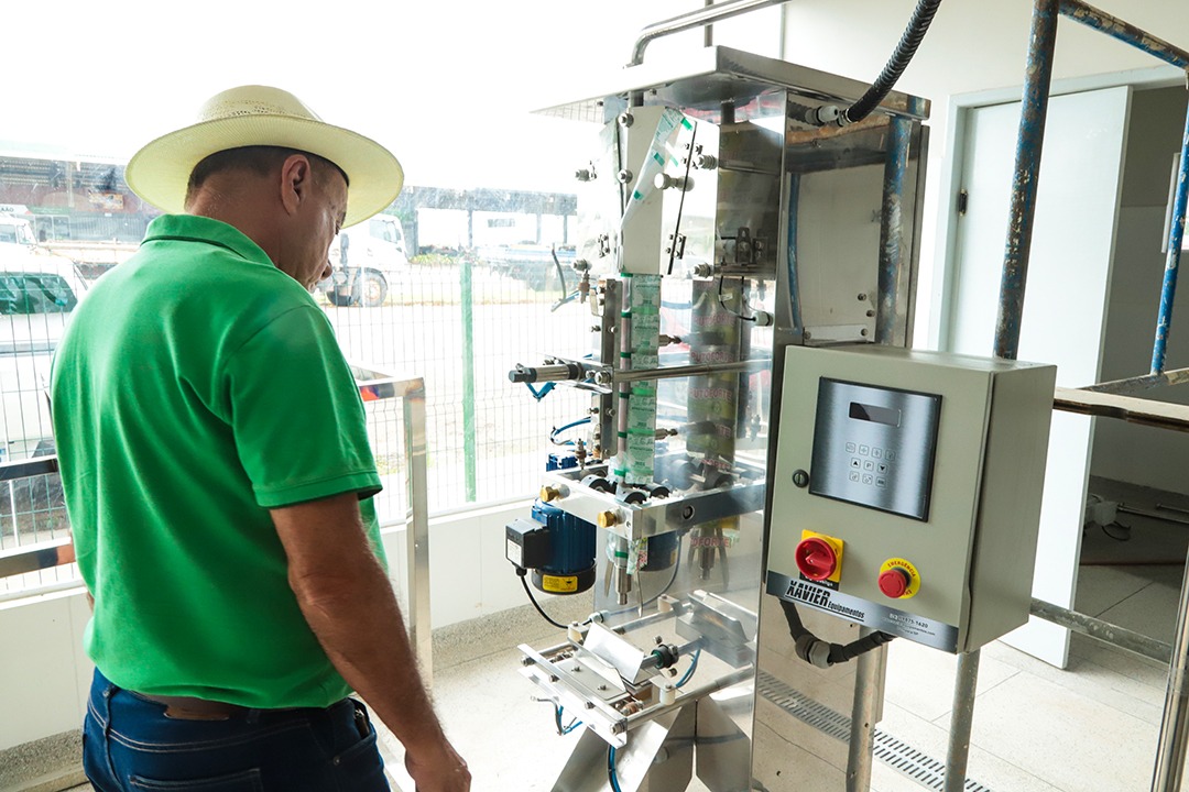 Vistoria Vaca Mecanica 2