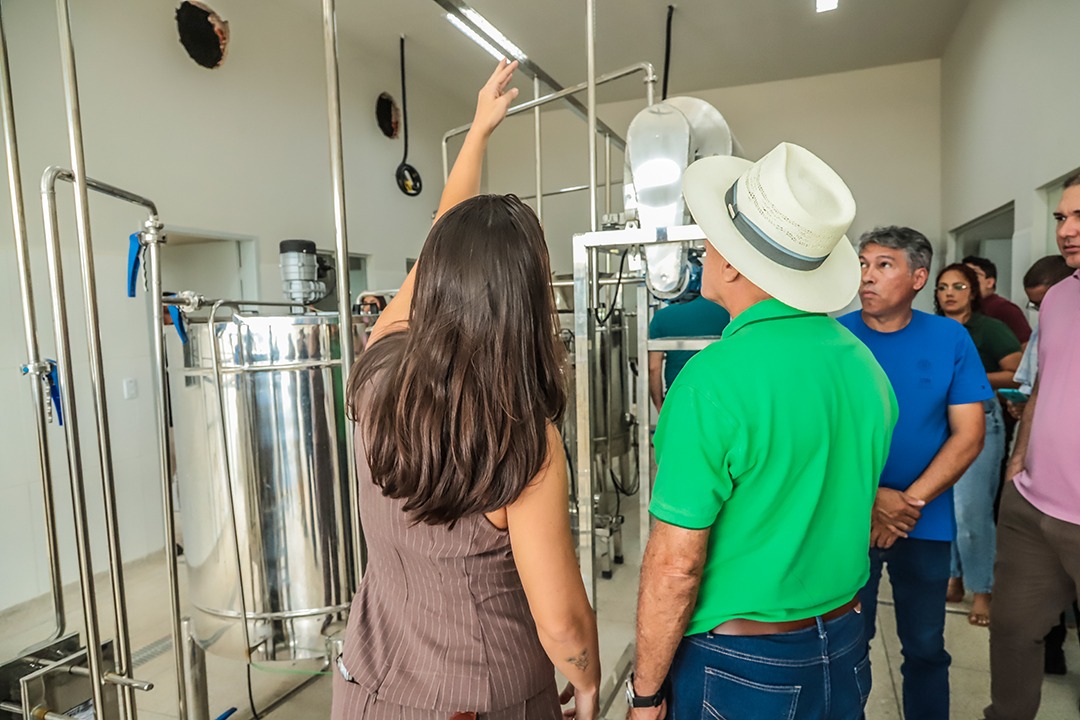 Vistoria Vaca Mecanica 3