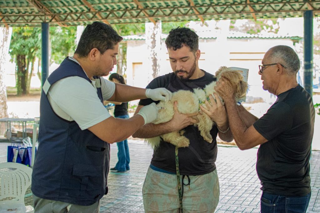 Abril Laranja Fotos Atilas Moura 5