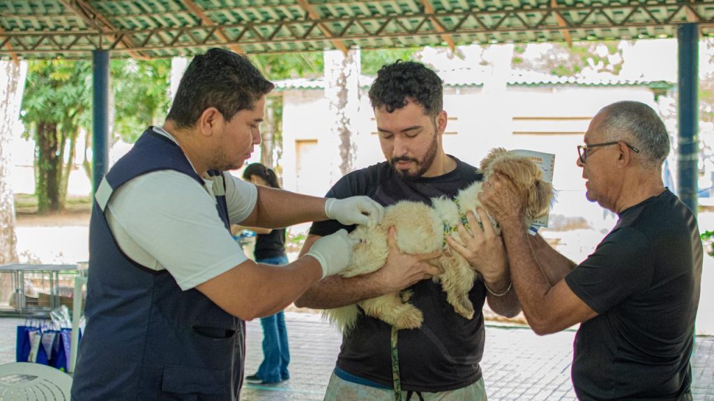 Abril Laranja Fotos Atilas Moura 5 e1777303615742