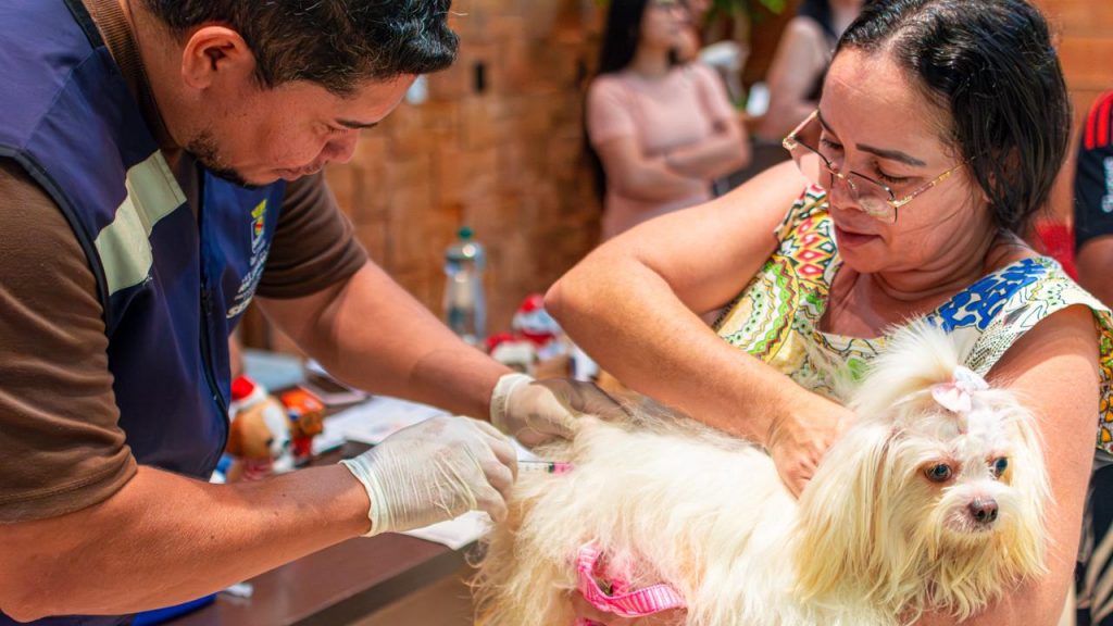 Acao vacinacao e adocao 15 e1776703408230