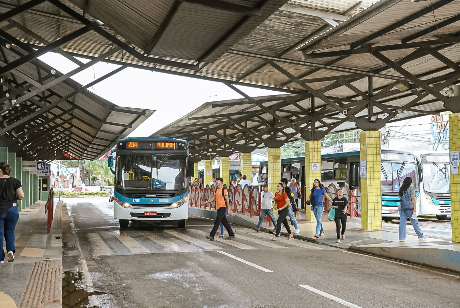 Visita Terminal Urbano 15