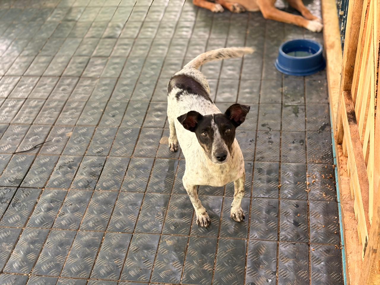 Foto: Reprodução/Prefeitura de Rio Branco - AC