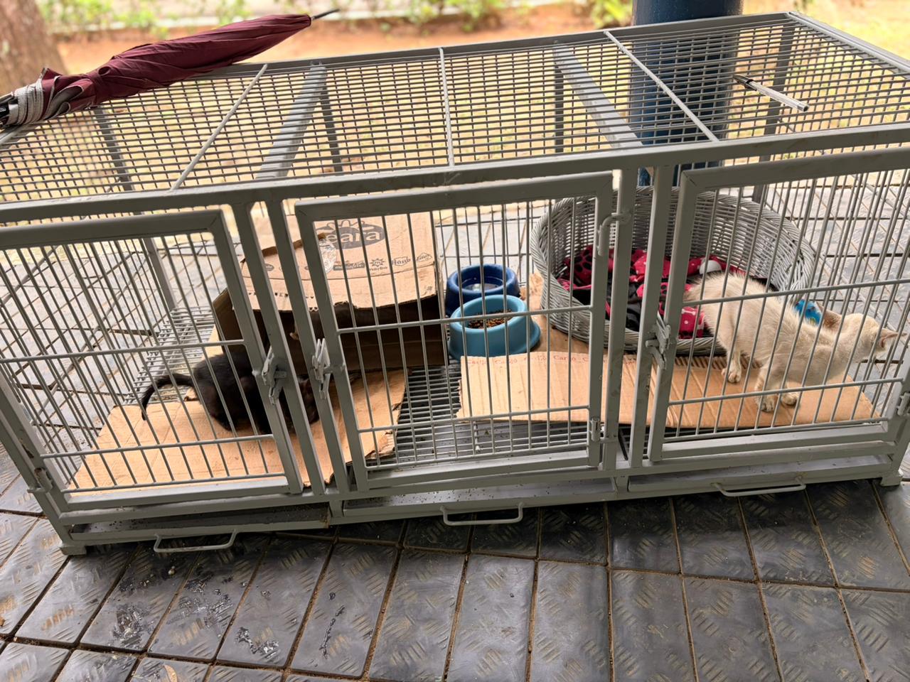 Foto: Reprodução/Prefeitura de Rio Branco - AC