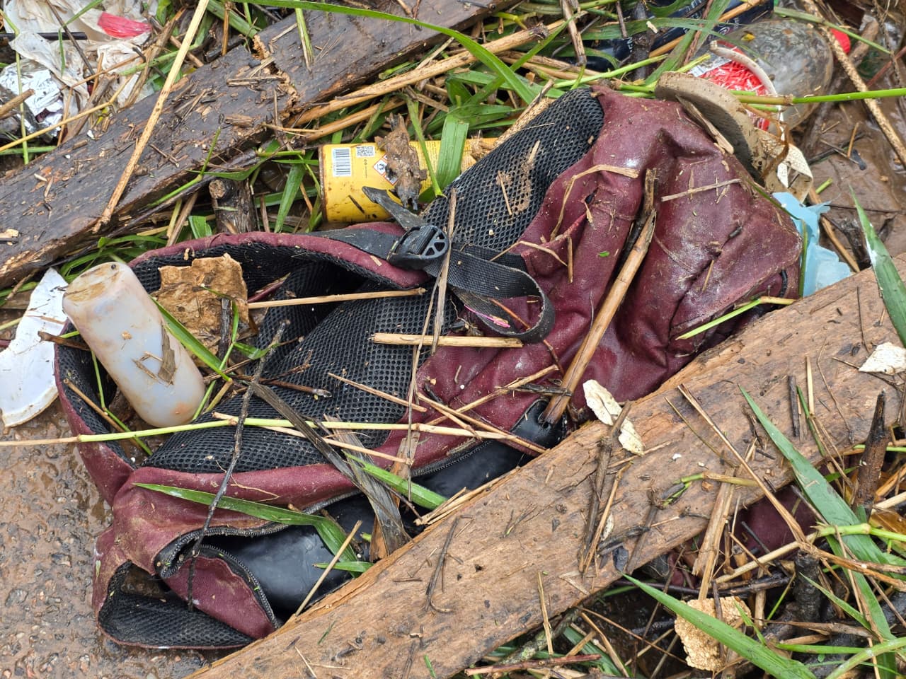 Foto de lixo retirado