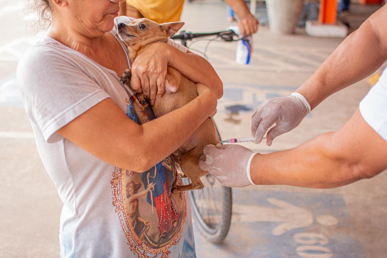 A iniciativa tem como objetivo ampliar a cobertura vacinal contra a raiva, uma doença grave e potencialmente fatal. (Foto: Átilas Moura/Secom)